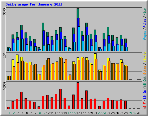 Daily usage for January 2011