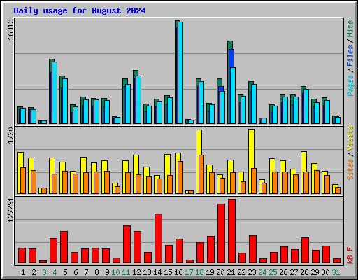 Daily usage for August 2024