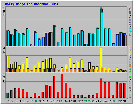 Daily usage for December 2024