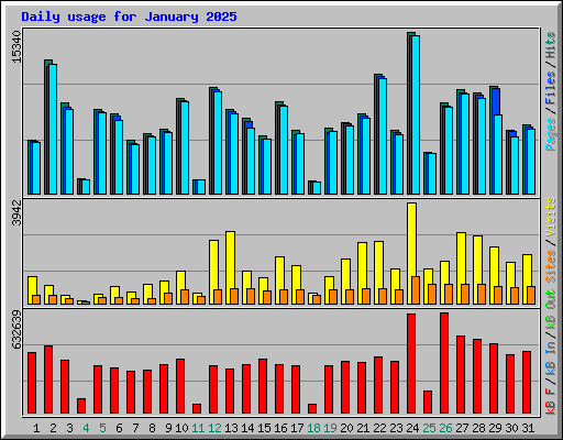 Daily usage for January 2025