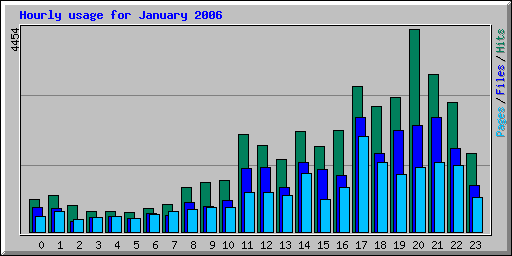 Hourly usage for January 2006