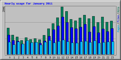 Hourly usage for January 2011