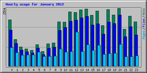 Hourly usage for January 2012