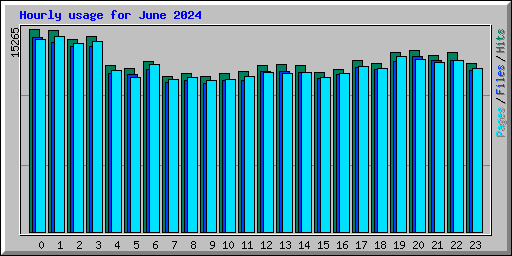 Hourly usage for June 2024