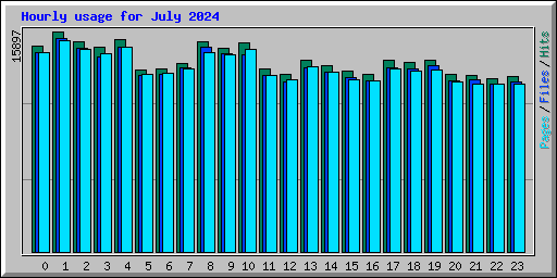 Hourly usage for July 2024