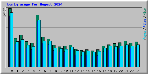 Hourly usage for August 2024