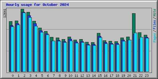 Hourly usage for October 2024