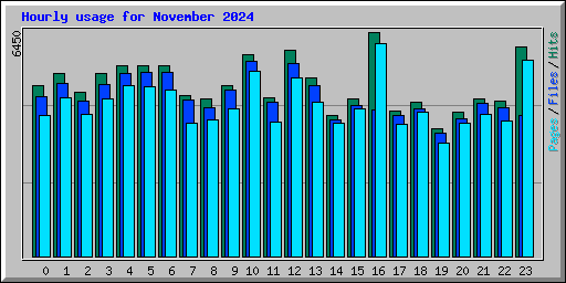 Hourly usage for November 2024