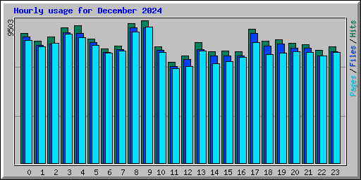 Hourly usage for December 2024