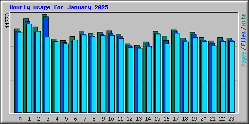 Hourly usage for January 2025