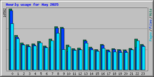 Hourly usage for May 2025
