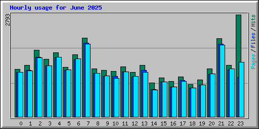 Hourly usage for June 2025