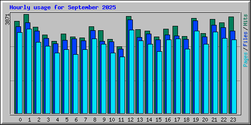 Hourly usage for September 2025