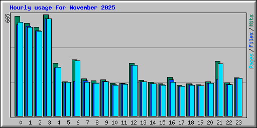 Hourly usage for November 2025