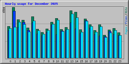 Hourly usage for December 2025