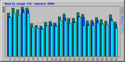 Hourly usage for January 2026